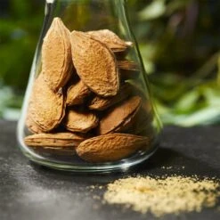 Nuxe Bio Micro-Exfoliating Cleansing Mask Poudre De Noyaux De Nuxe -NIVEA Soldes Boutique Nuxe Nuxe Bio Fruit Stone Powder Micro Exfoliating Cleansing Mask 96952x3 4