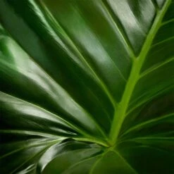 Nuxe Bio Radiance Detox Mask Graines De Sésame & Extrait D'agrumes De Nuxe 10 Nuxe Bio Radiance Detox Mask Graines De Sésame & Extrait D'agrumes De Nuxe -NIVEA Soldes Boutique Nuxe Nuxe Bio Sesame Seeds Citrus Extract Radiance Detox Mask 96941x4 4